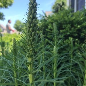 Meet your Posher, Upma